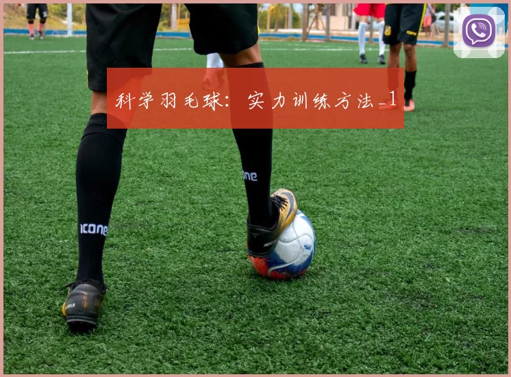 科学羽毛球：实力训练方法_1