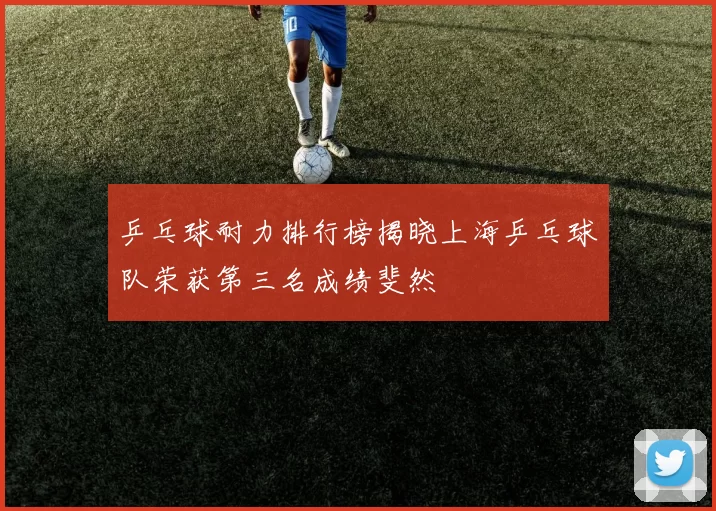 乒乓球耐力排行榜揭晓上海乒乓球队荣获第三名成绩斐然