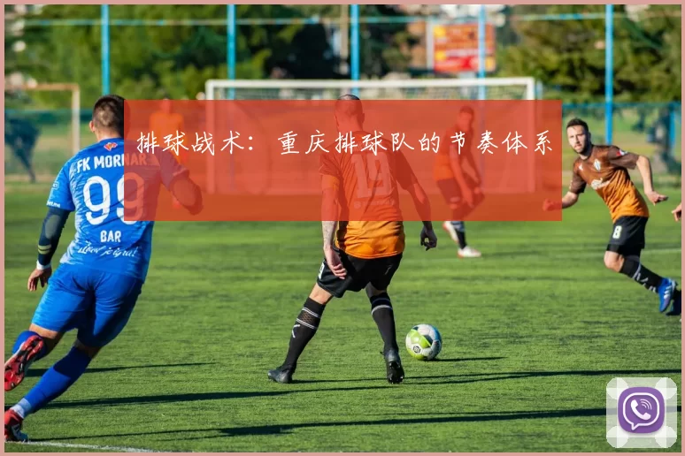 排球战术：重庆排球队的节奏体系