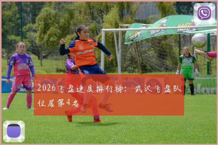 2026飞盘速度排行榜：武汉飞盘队位居第4名