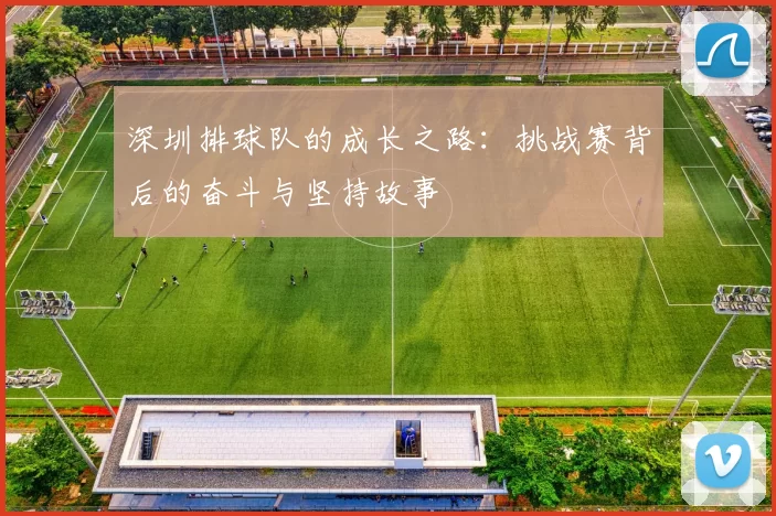 深圳排球队的成长之路：挑战赛背后的奋斗与坚持故事