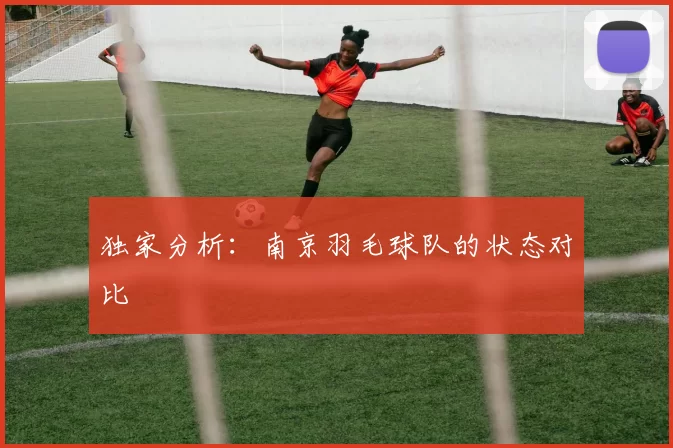 独家分析：南京羽毛球队的状态对比
