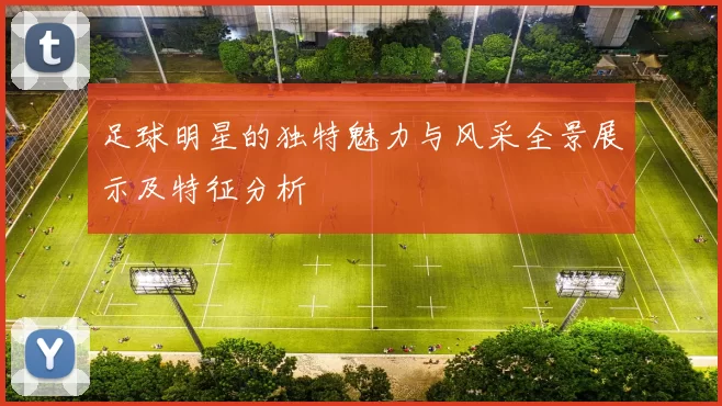 足球明星的独特魅力与风采全景展示及特征分析