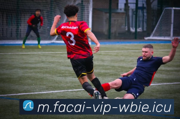 乐竞体育平台生态图